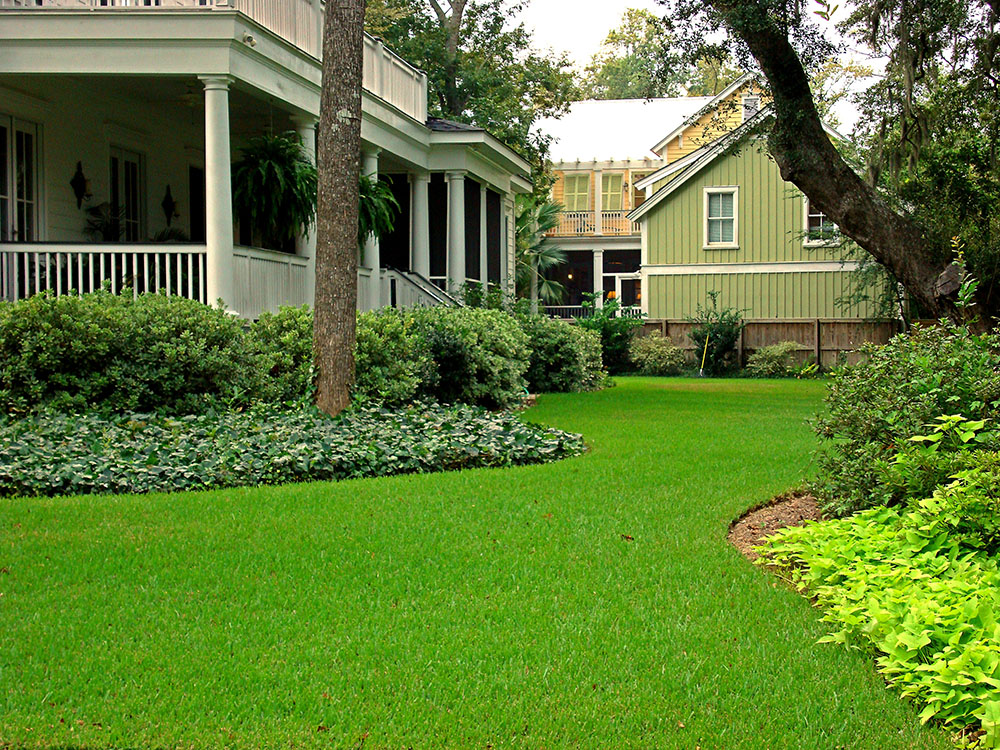 Palmetto St Augustine Carolina Turf